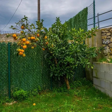 Large In Cantabria *